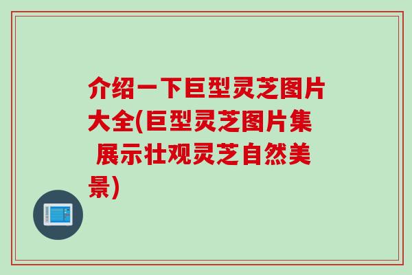 介绍一下巨型灵芝图片大全(巨型灵芝图片集 展示壮观灵芝自然美景)