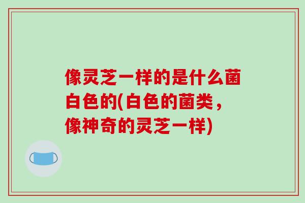 像灵芝一样的是什么菌白色的(白色的菌类，像神奇的灵芝一样)
