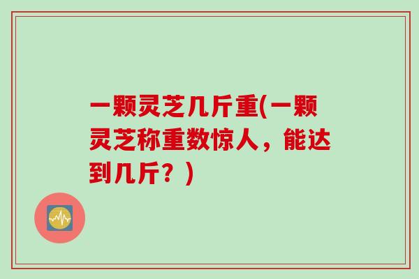 一颗灵芝几斤重(一颗灵芝称重数惊人，能达到几斤？)