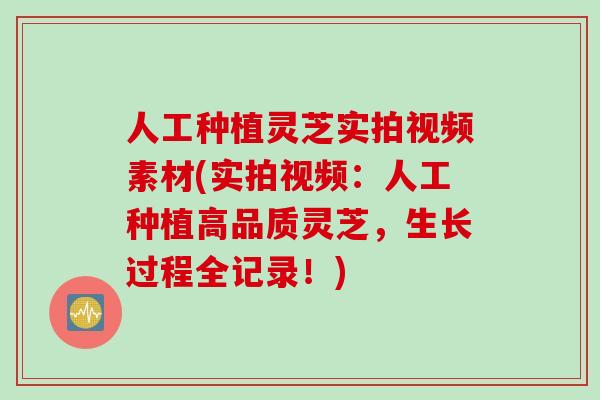 人工种植灵芝实拍视频素材(实拍视频：人工种植高品质灵芝，生长过程全记录！)