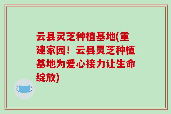 云县灵芝种植基地(重建家园！云县灵芝种植基地为爱心接力让生命绽放)