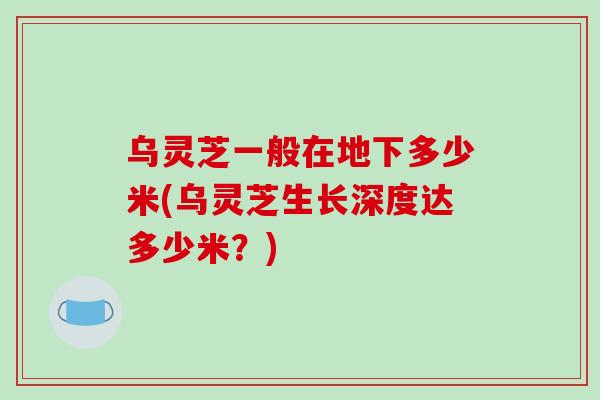 乌灵芝一般在地下多少米(乌灵芝生长深度达多少米？)