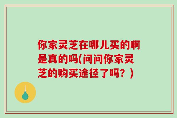 你家灵芝在哪儿买的啊是真的吗(问问你家灵芝的购买途径了吗？)