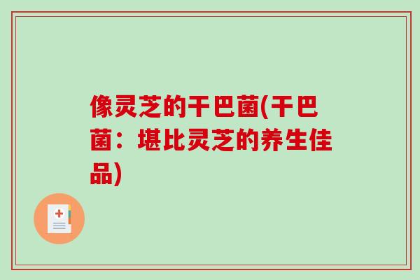 像灵芝的干巴菌(干巴菌：堪比灵芝的养生佳品)
