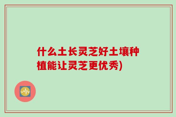 什么土长灵芝好土壤种植能让灵芝更优秀)