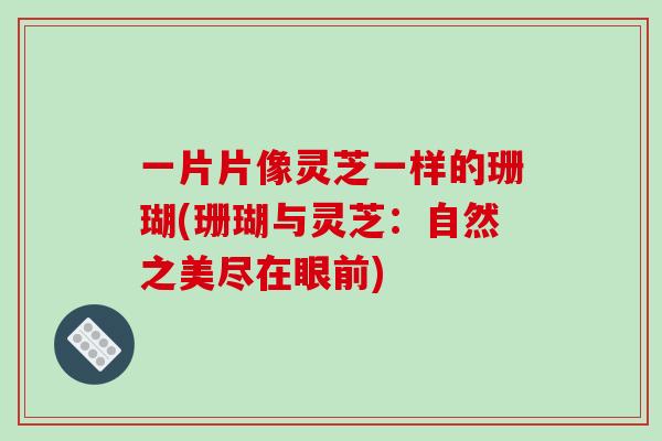 一片片像灵芝一样的珊瑚(珊瑚与灵芝：自然之美尽在眼前)