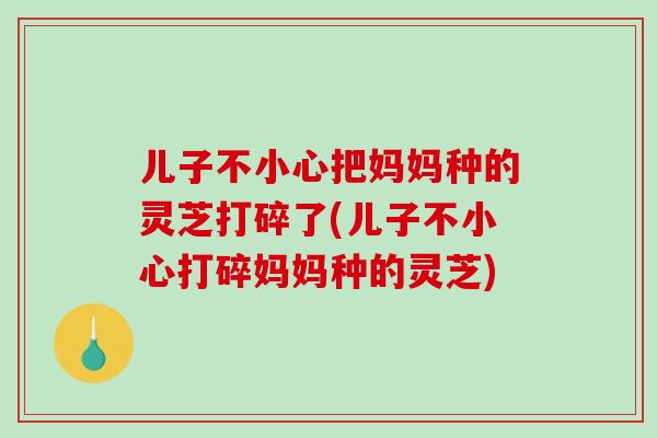 儿子不小心把妈妈种的灵芝打碎了(儿子不小心打碎妈妈种的灵芝)