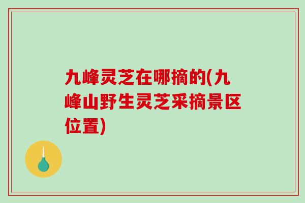 九峰灵芝在哪摘的(九峰山野生灵芝采摘景区位置)