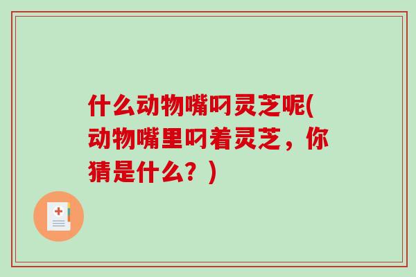 什么动物嘴叼灵芝呢(动物嘴里叼着灵芝，你猜是什么？)