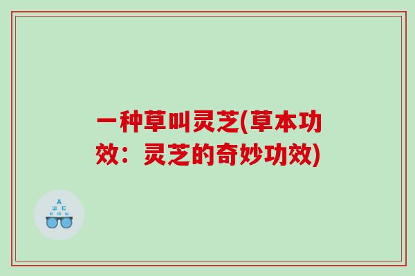 一种草叫灵芝(草本功效：灵芝的奇妙功效)
