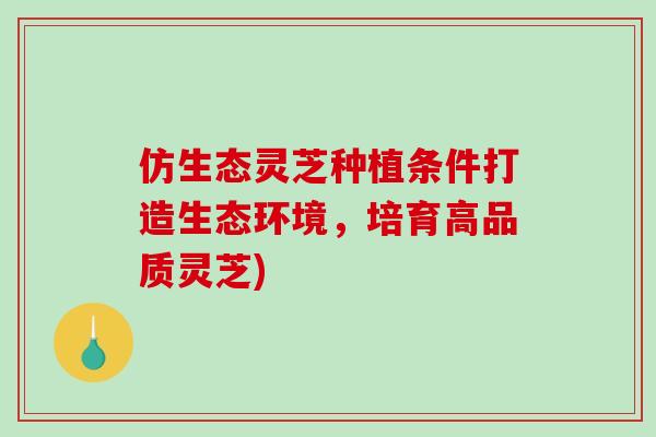 仿生态灵芝种植条件打造生态环境，培育高品质灵芝)