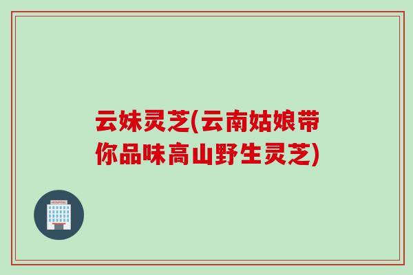 云妹灵芝(云南姑娘带你品味高山野生灵芝)