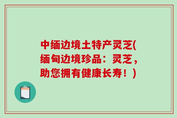 中缅边境土特产灵芝(缅甸边境珍品：灵芝，助您拥有健康长寿！)