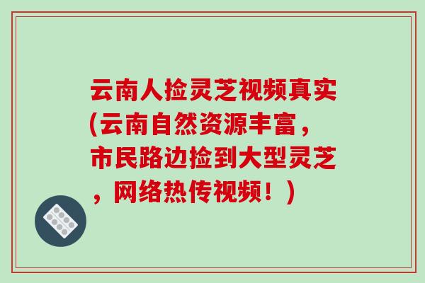 云南人捡灵芝视频真实(云南自然资源丰富，市民路边捡到大型灵芝，网络热传视频！)