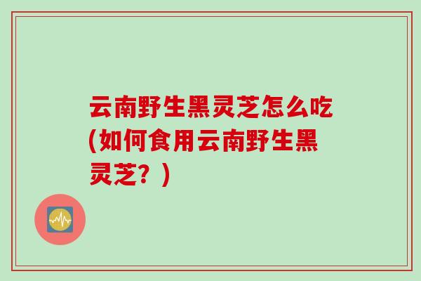 云南野生黑灵芝怎么吃(如何食用云南野生黑灵芝？)