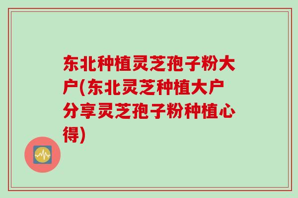 东北种植灵芝孢子粉大户(东北灵芝种植大户分享灵芝孢子粉种植心得) 东北种植灵芝孢子粉大户(东北灵芝种植大户分享灵芝孢子粉种植心得)