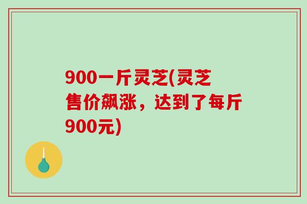 900一斤灵芝(灵芝售价飙涨，达到了每斤900元)