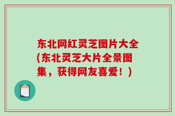 东北网红灵芝图片大全(东北灵芝大片全景图集，获得网友喜爱！)