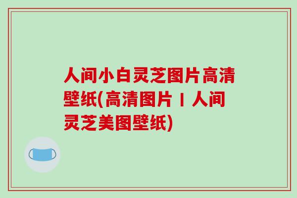 人间小白灵芝图片高清壁纸(高清图片丨人间灵芝美图壁纸)