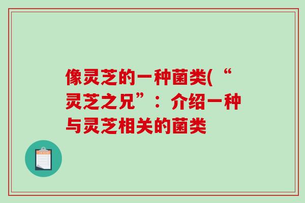 像灵芝的一种菌类(“灵芝之兄”：介绍一种与灵芝相关的菌类