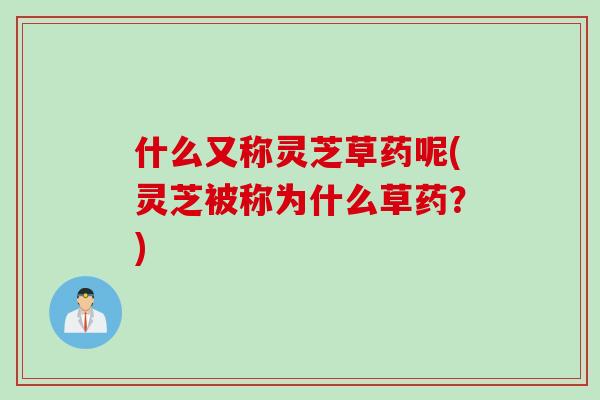 什么又称灵芝草药呢(灵芝被称为什么草药？)
