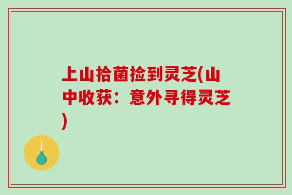 上山拾菌捡到灵芝(山中收获：意外寻得灵芝)
