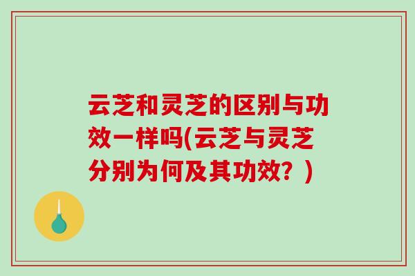 云芝和灵芝的区别与功效一样吗(云芝与灵芝分别为何及其功效？)