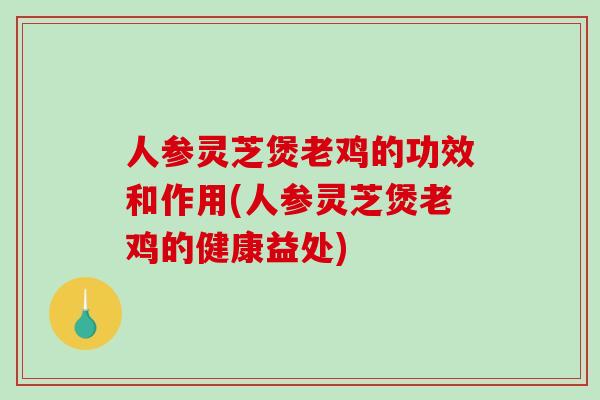 人参灵芝煲老鸡的功效和作用(人参灵芝煲老鸡的健康益处)