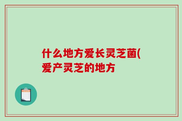 什么地方爱长灵芝菌(爱产灵芝的地方