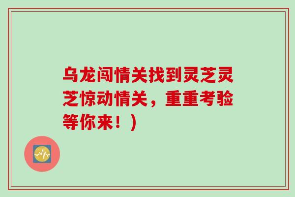 乌龙闯情关找到灵芝灵芝惊动情关，重重考验等你来！)