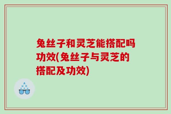 兔丝子和灵芝能搭配吗功效(兔丝子与灵芝的搭配及功效)