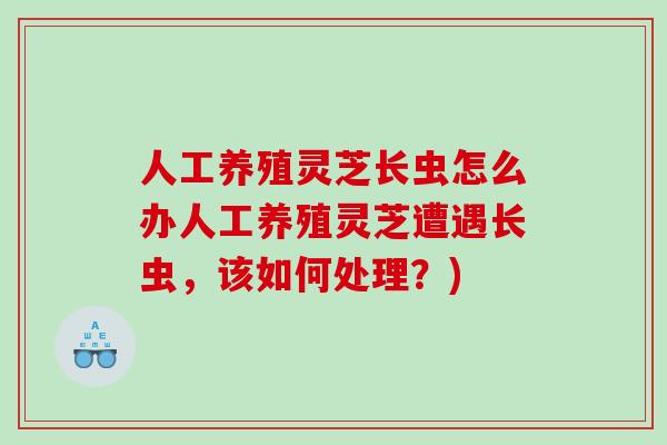 人工养殖灵芝长虫怎么办人工养殖灵芝遭遇长虫，该如何处理？)
