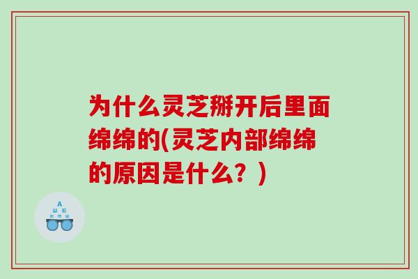 为什么灵芝掰开后里面绵绵的(灵芝内部绵绵的原因是什么？)
