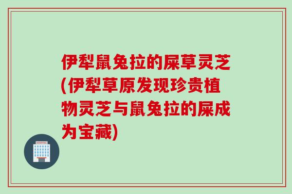 伊犁鼠兔拉的屎草灵芝(伊犁草原发现珍贵植物灵芝与鼠兔拉的屎成为宝藏)