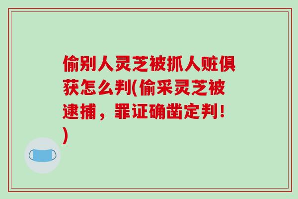 偷别人灵芝被抓人赃俱获怎么判(偷采灵芝被逮捕，罪证确凿定判！)