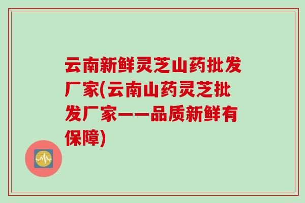 云南新鲜灵芝山药批发厂家(云南山药灵芝批发厂家——品质新鲜有保障)