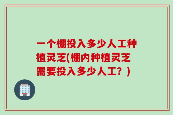 一个棚投入多少人工种植灵芝(棚内种植灵芝需要投入多少人工？)