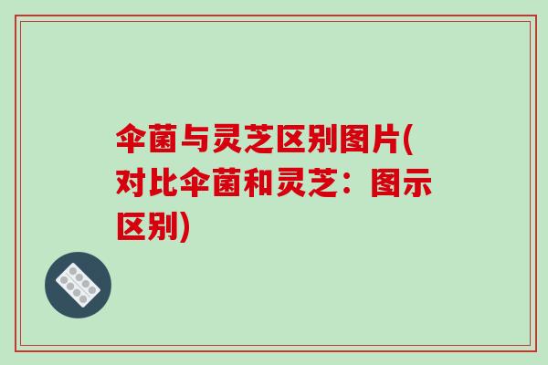 伞菌与灵芝区别图片(对比伞菌和灵芝:图示区别) 伞菌与灵芝区别图片(对比伞菌和灵芝:图示区别)
