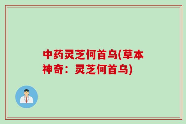 中药灵芝何首乌(草本神奇：灵芝何首乌)