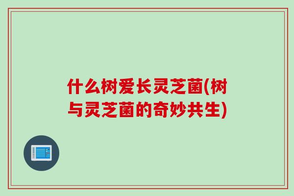 什么树爱长灵芝菌(树与灵芝菌的奇妙共生)