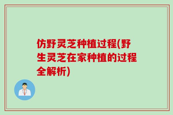 仿野灵芝种植过程(野生灵芝在家种植的过程全解析)