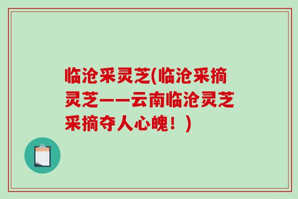 临沧采灵芝(临沧采摘灵芝——云南临沧灵芝采摘夺人心魄！)