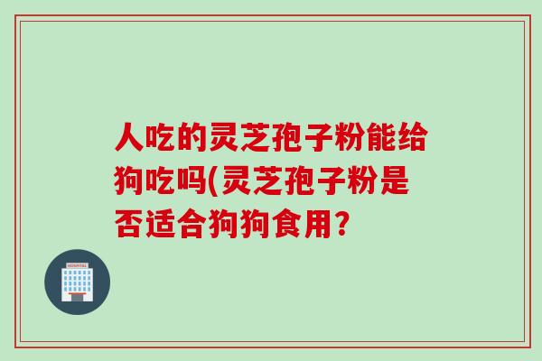 人吃的灵芝孢子粉能给狗吃吗(灵芝孢子粉是否适合狗狗食用？