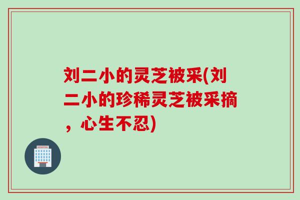 刘二小的灵芝被采(刘二小的珍稀灵芝被采摘，心生不忍)