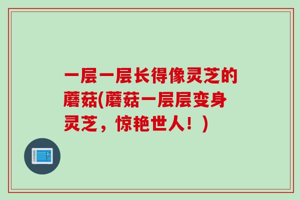 一层一层长得像灵芝的蘑菇(蘑菇一层层变身灵芝，惊艳世人！)