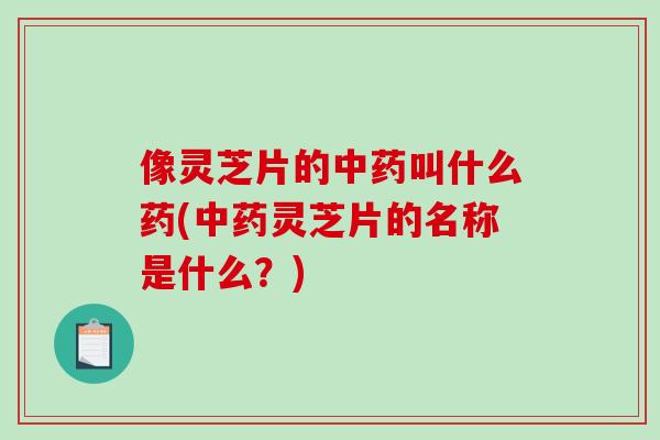 像灵芝片的中药叫什么药(中药灵芝片的名称是什么？)