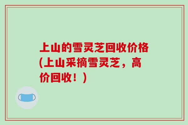 上山的雪灵芝回收价格(上山采摘雪灵芝，高价回收！)