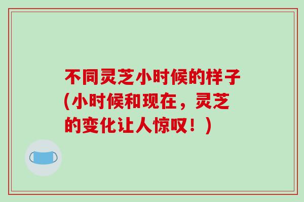 不同灵芝小时候的样子(小时候和现在，灵芝的变化让人惊叹！)
