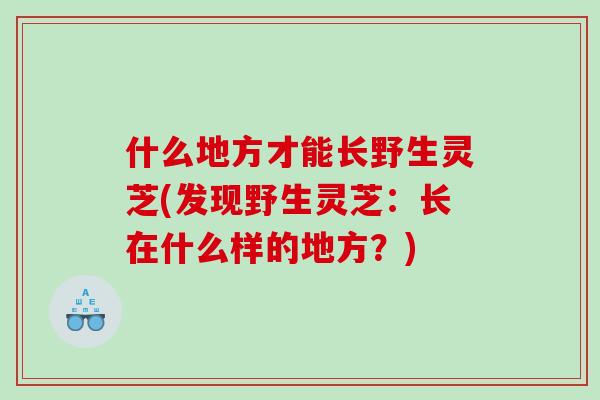 什么地方才能长野生灵芝(发现野生灵芝：长在什么样的地方？)