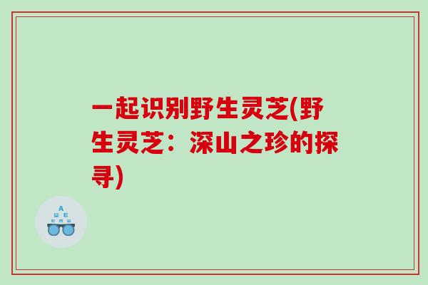 一起识别野生灵芝(野生灵芝：深山之珍的探寻)